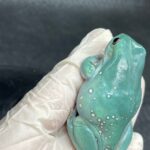 Super Snowflake Whites Tree Frog - Image 3